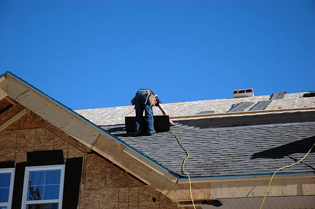 Best Metal Roofing Contractor  in Edwards, MS