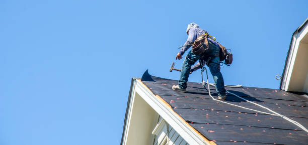 Best Roof Gutter Cleaning  in Edwards, MS